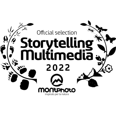 Multimedia Storytelling