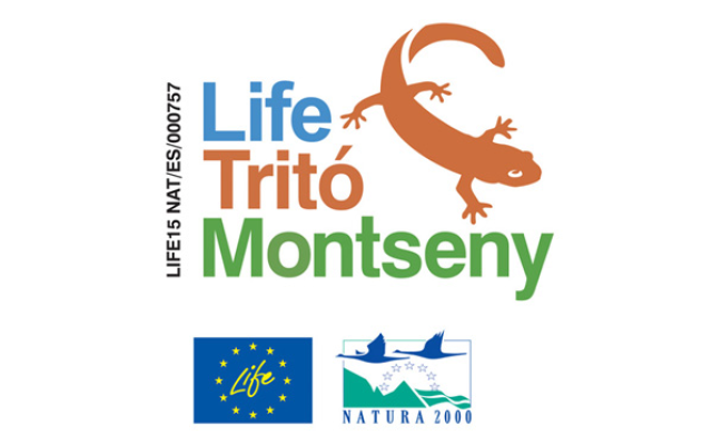 Projecte life tritó del Montseny